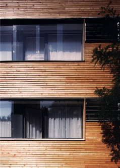 Ansicht Fassade mit Lärchenholzverkleidung